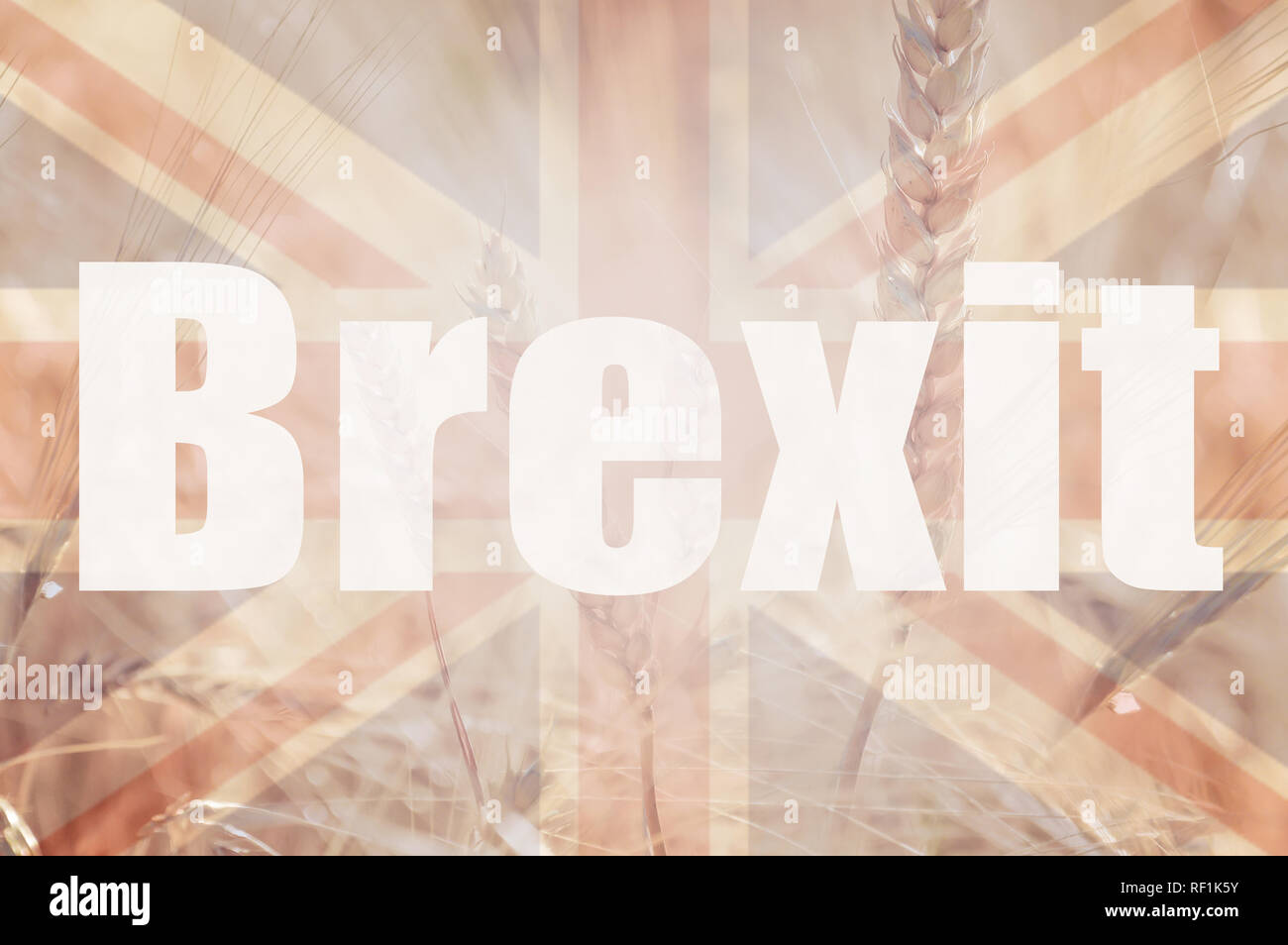 Brexit Konzept. Double Exposure der Union Jack Flagge und ein Feld von Weizen und Gerste mit dem Wort Brexit overlayered auf die Oberseite. Stockfoto