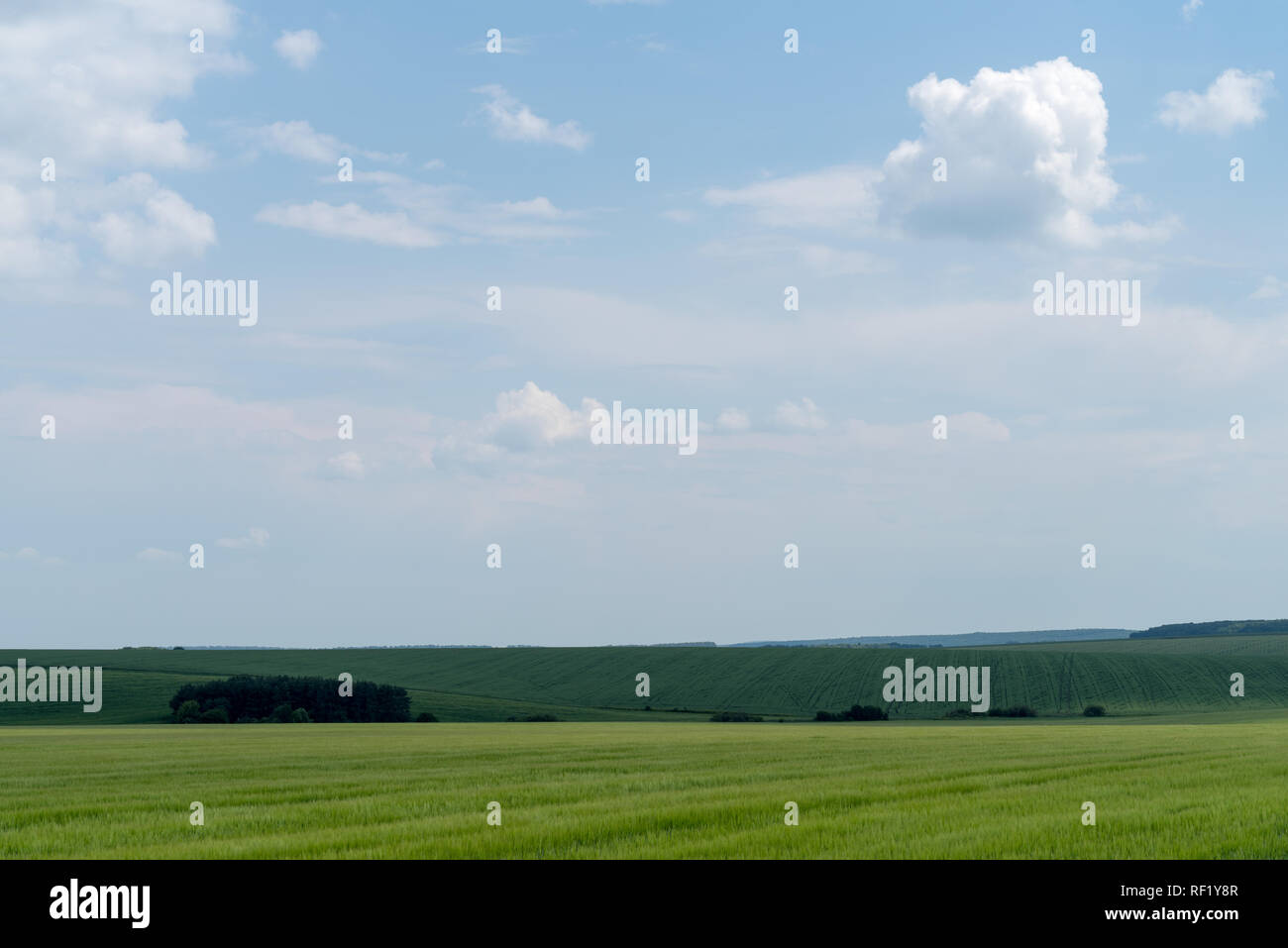 Frühjahr die landwirtschaftliche Landschaft, Georgios Tovtry Nationalpark, Podolien anbrachte Region der Ukraine Stockfoto