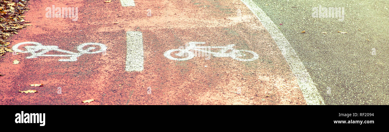 Fahrrad Straße Symbol auf dem Radweg mit Blätter im Herbst Stockfoto