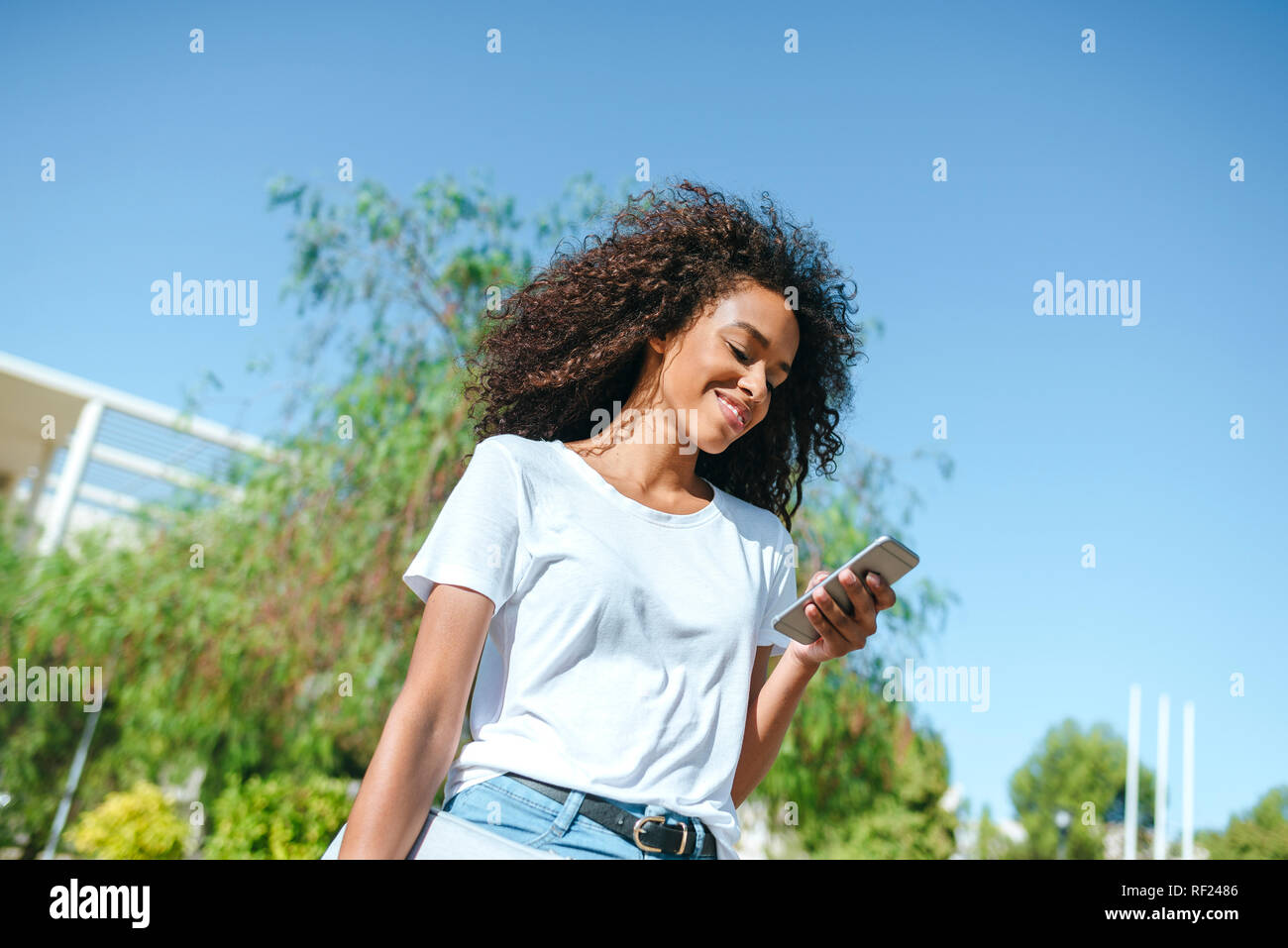 Lächelnde junge Frau Blick auf Handy Stockfoto