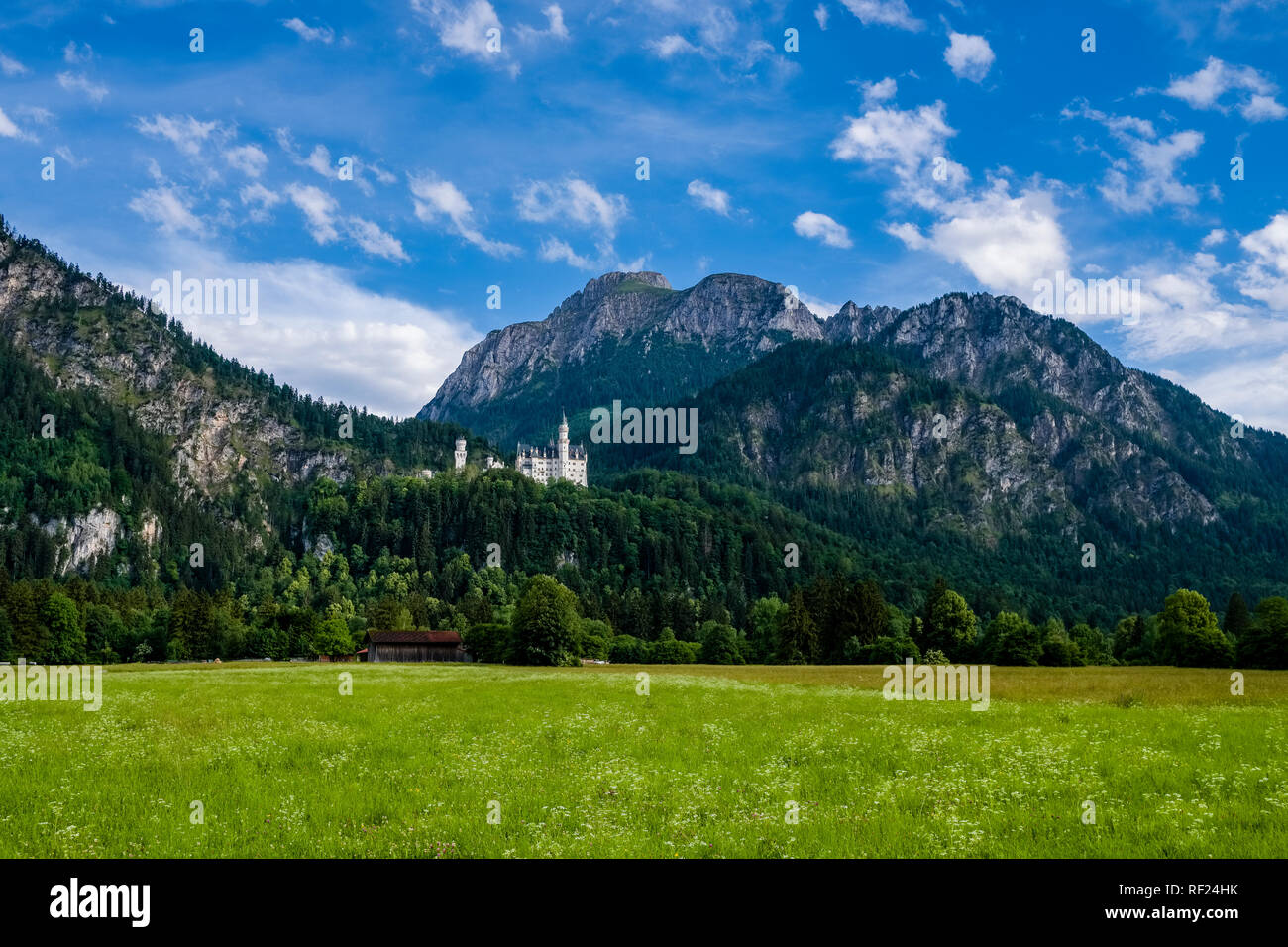 Schloss Neuschwanstein auf einem Hügel in der alpinen Landschaft, die Alpen in der Ferne Stockfoto