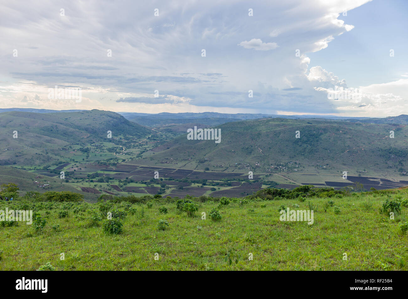 Ländliche Gebiete in KwaZulu-Natal, Südafrika, verfügen über kleine Weide- und Landwirtschaft auf die sanften, grünen Hügel. Stockfoto