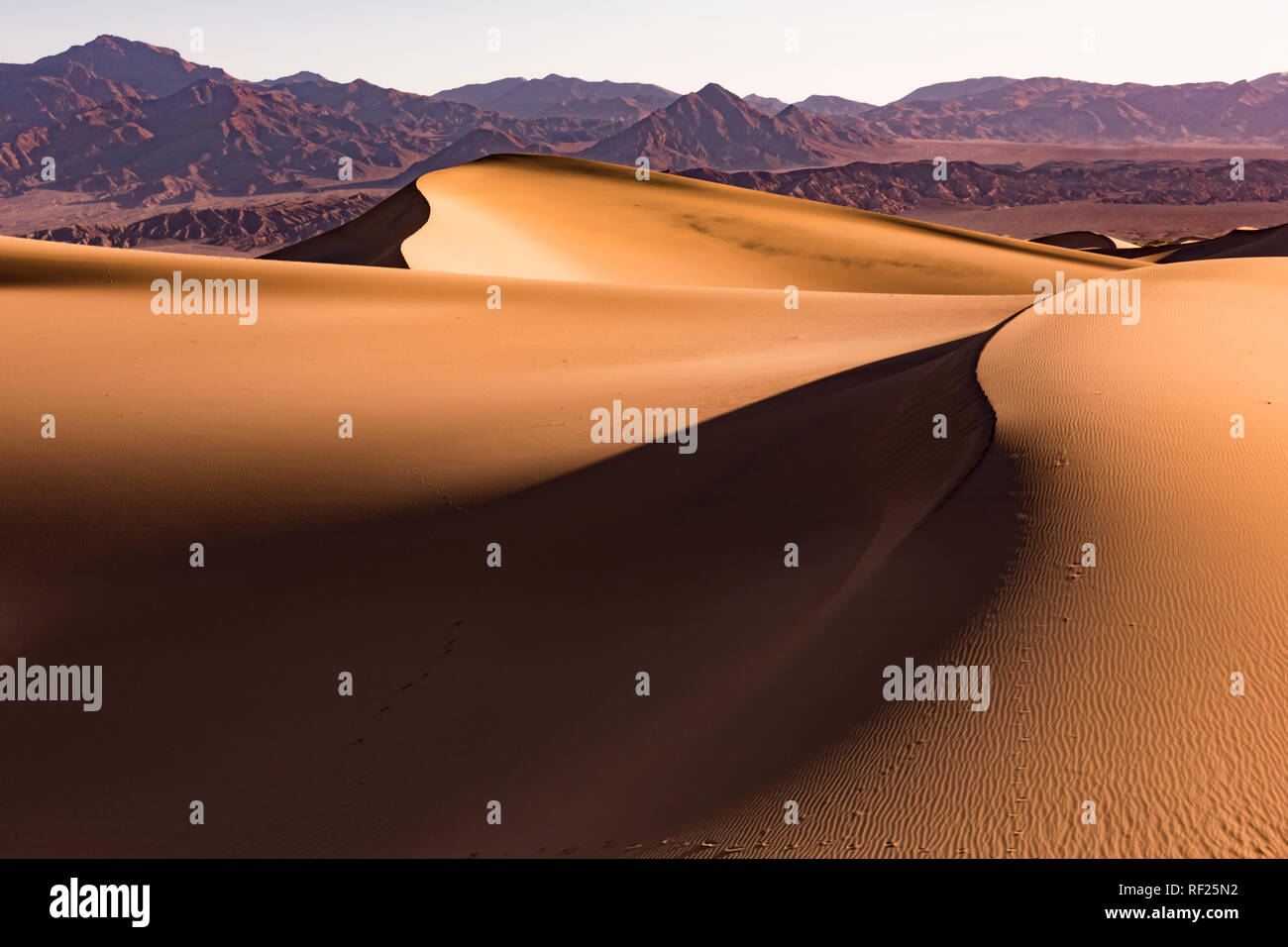 USA, Californien, Death Valley, Death Valley National Park, Mesquite flachen Sand Dünen Stockfoto