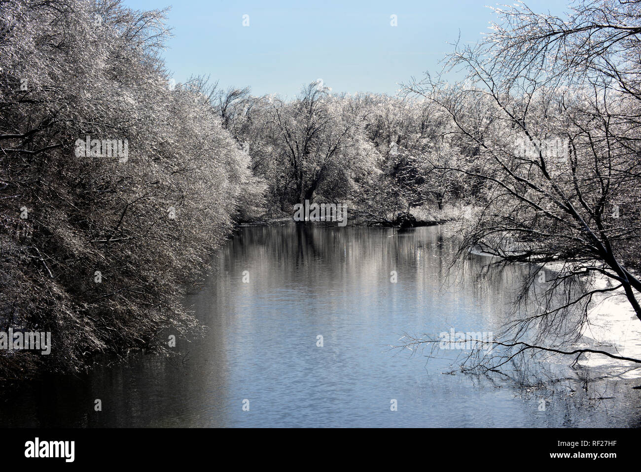 Eis bedeckt Bäume am Ufer der Mill River. New Haven, CT. Januar 22, 2018 Stockfoto