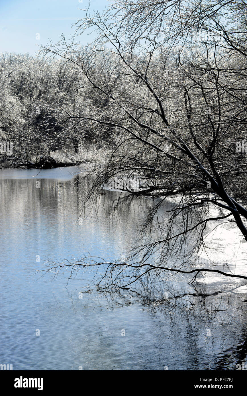 Eis bedeckt Bäume am Ufer der Mill River. New Haven, CT. Januar 22, 2018 Stockfoto