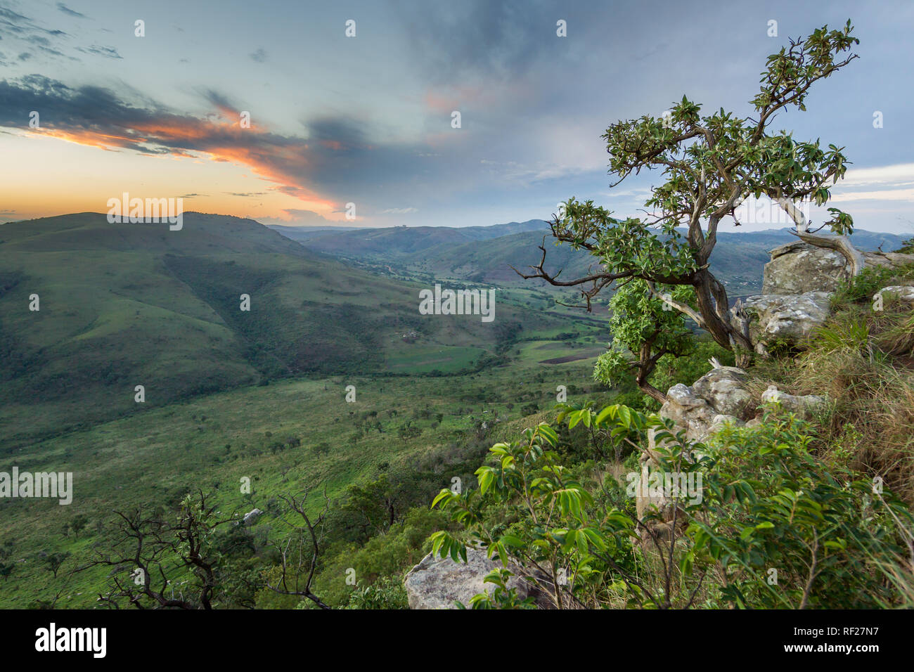 Ländliche Gebiete in KwaZulu-Natal, Südafrika, verfügen über kleine Weide- und Landwirtschaft auf die sanften, grünen Hügel. Dieses Tal ist von Hluhluwe gesehen Stockfoto