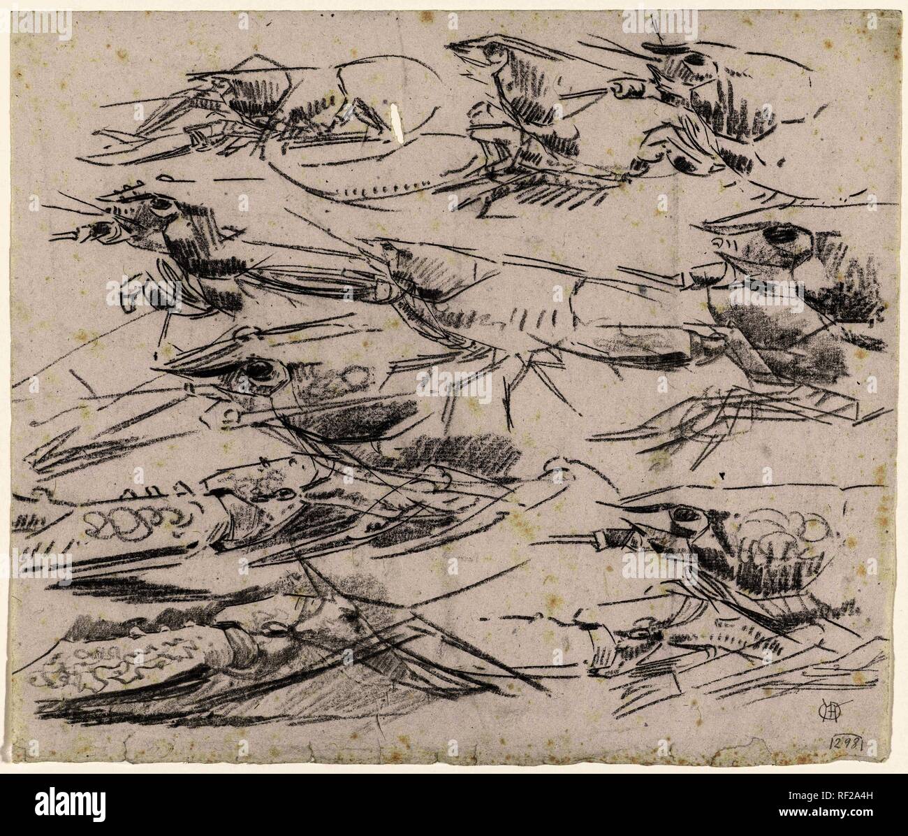 Hummer. Verfasser der Stellungnahme: Gerrit Willem Dijsselhof. Datierung: 1876 - 1924. Maße: H 273 mm x B 320 mm. Museum: Rijksmuseum, Amsterdam. Stockfoto