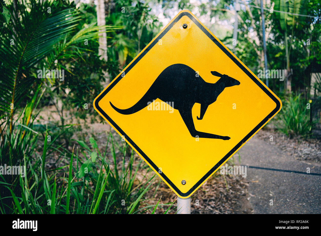 Australien, Magnetic Island, Känguru Animal Crossing Sign Stockfoto