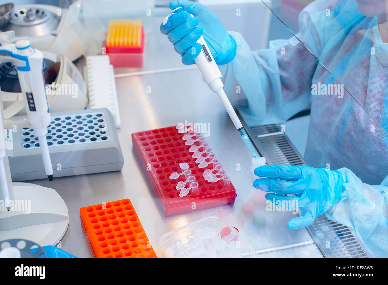 Dna Test im Labor. Ein Labor Techniker mit einem Dispenser in seinen Händen ist die Durchführung einer DNA-Analyse, die in einem sterilen Labor hinter Glas. Stockfoto
