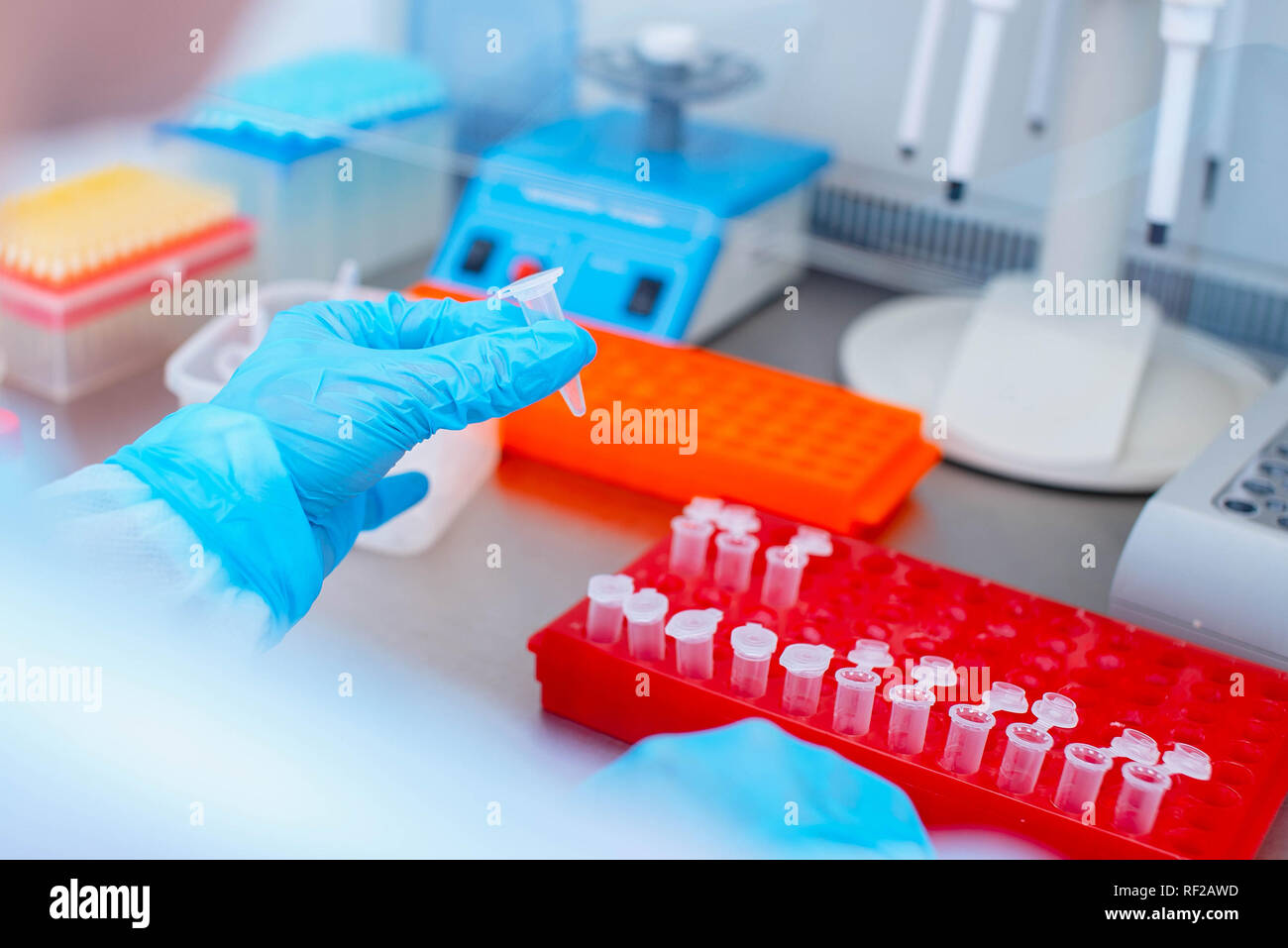 Dna Test im Labor. Ein Labor Techniker mit einem Dispenser in seinen Händen ist die Durchführung einer DNA-Analyse, die in einem sterilen Labor hinter Glas. Stockfoto