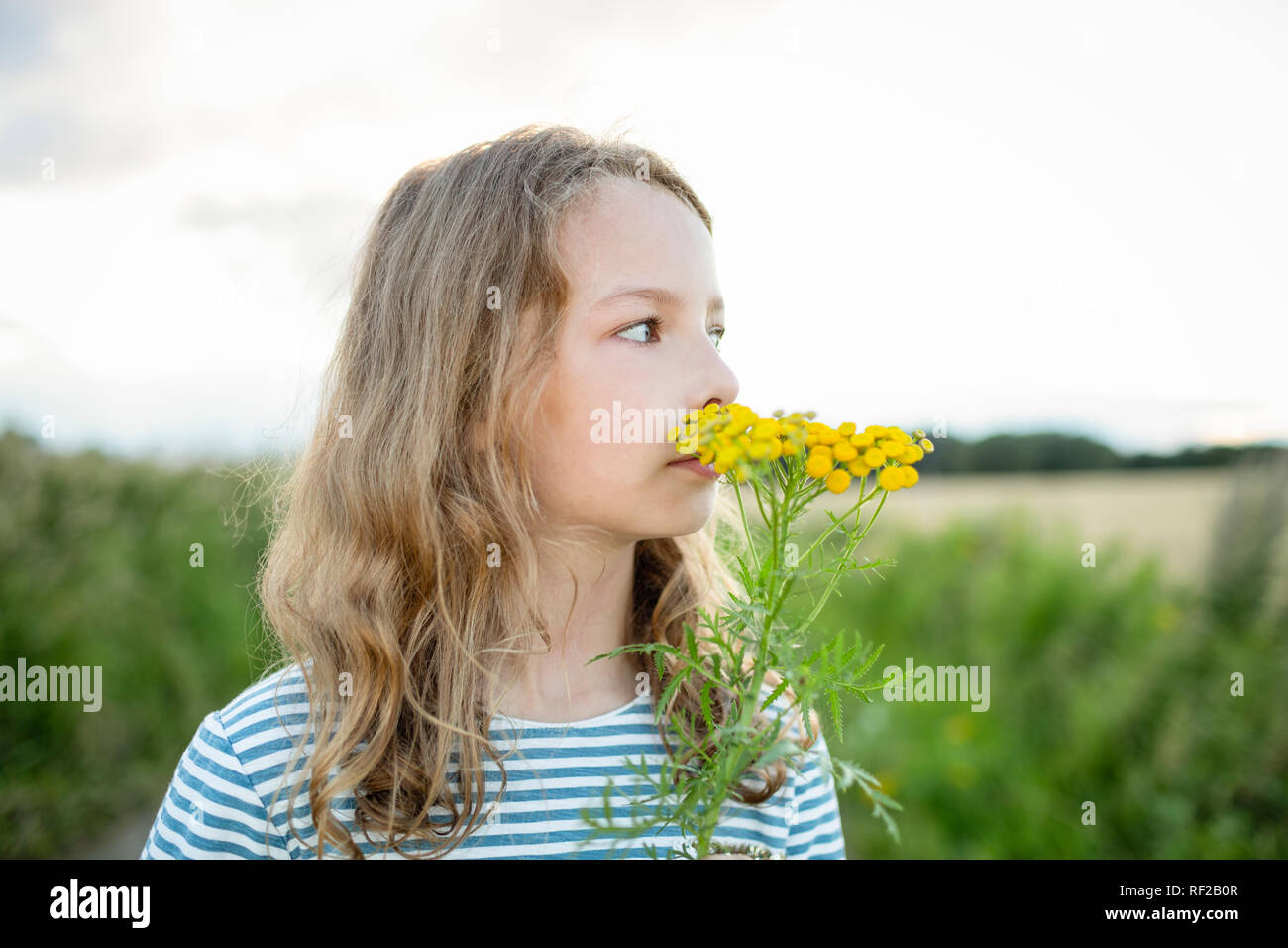 Mädchen in der Natur Riechen an eine wilde Blume Stockfoto