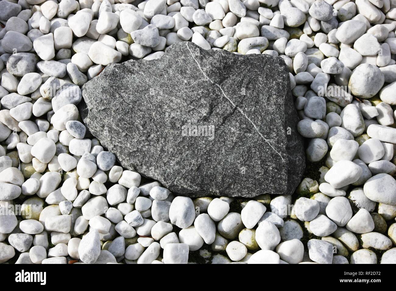 Weißen Kieselsteinen und einem großen schwarzen Stein Stockfoto