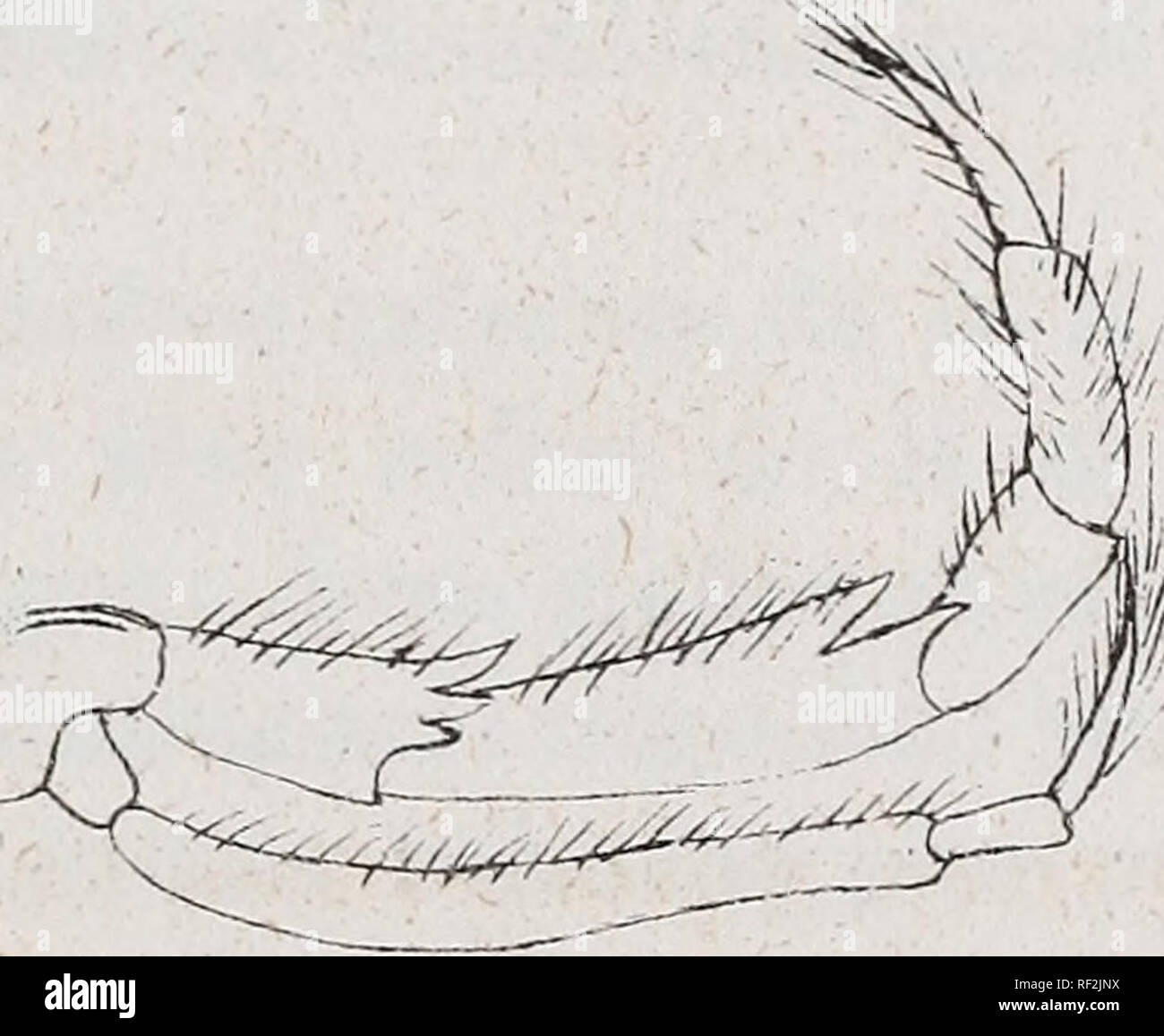 Ua Pou Stockfotos Und Bilder Kaufen Alamy