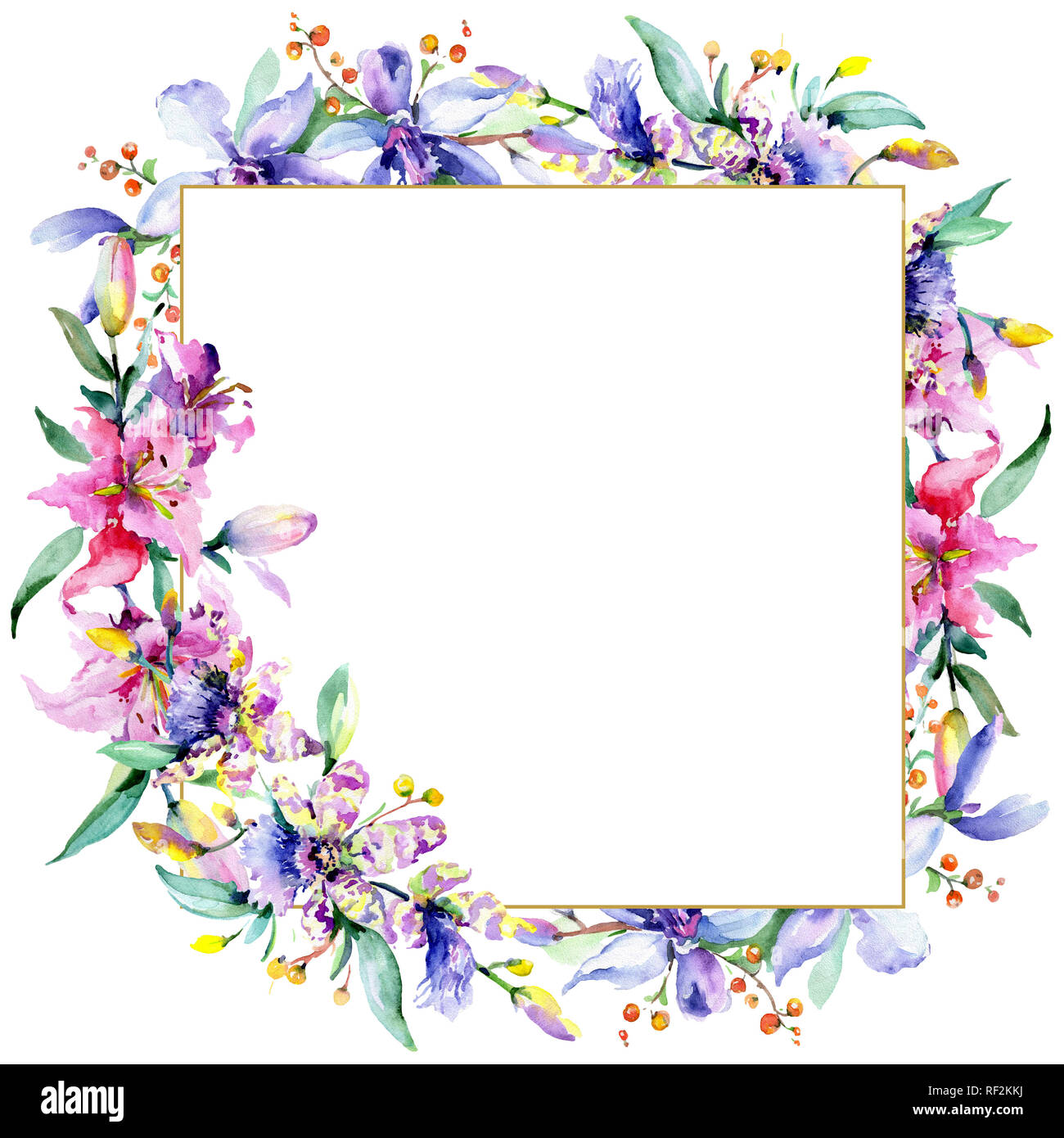 Rosa und Lila Orchidee. Wild Federblatt wildflower isoliert. Aquarell Hintergrund Abbildung. Aquarell Zeichnung mode Aquarelle iso Stockfoto