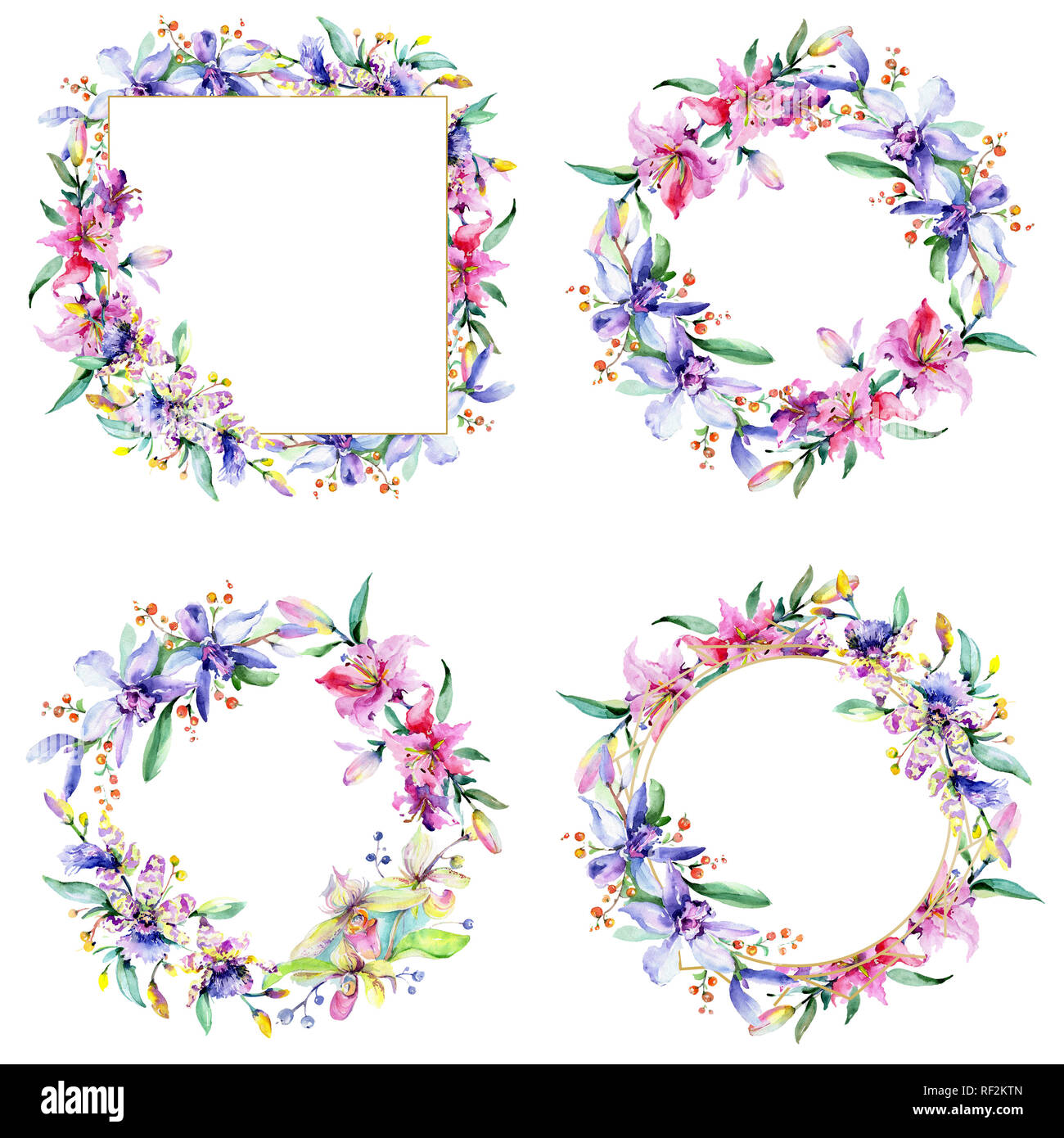 Rosa und Lila Orchidee. Wild Federblatt wildflower isoliert. Aquarell Hintergrund Abbildung. Aquarell Zeichnung mode Aquarelle iso Stockfoto