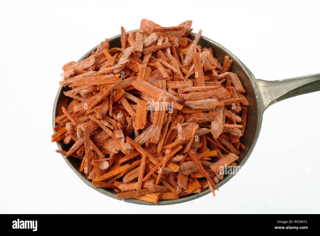 Getrocknete Sandelholz (pterocarpus) Rinde Chips in einem Messlöffel, Heilpflanzen Stockfoto