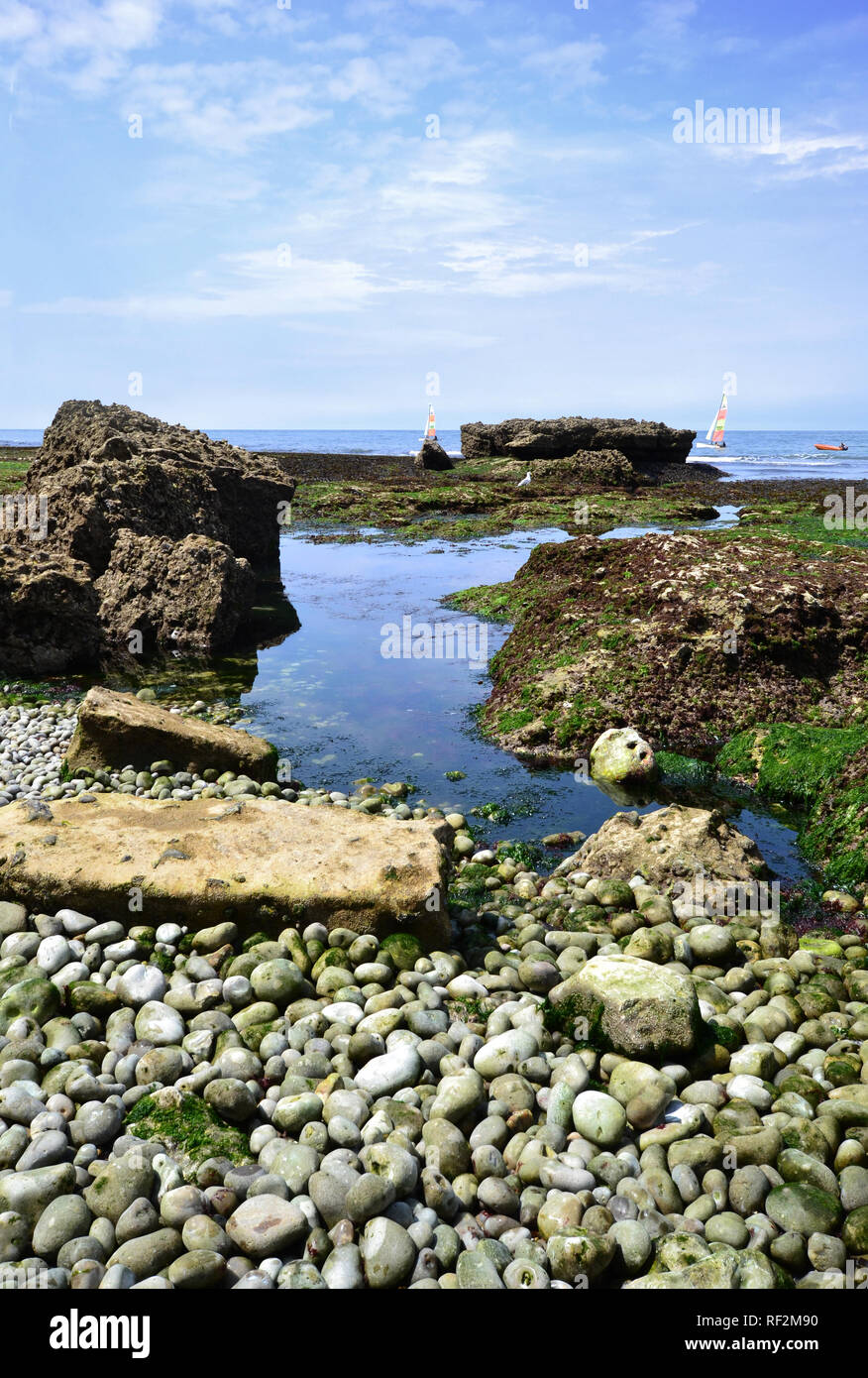 Küste Strand Insel chalk Chalk cliffs Algen Algen Ebbe Flut Stockfoto