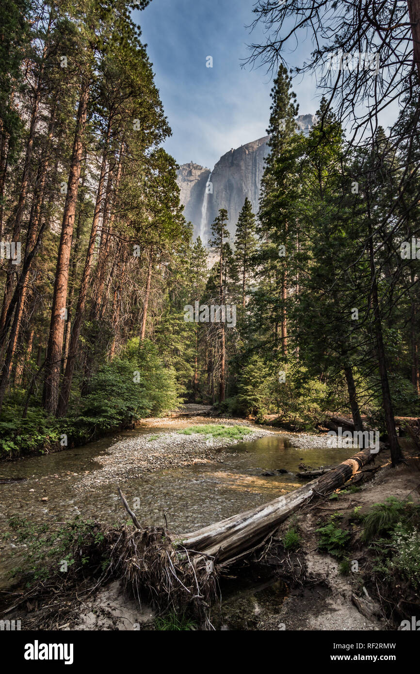 Die majestätischen Yosemite Falls im Sommer von einer kleinen Brücke auf der unteren Yosemite Falls entfernt. Stockfoto