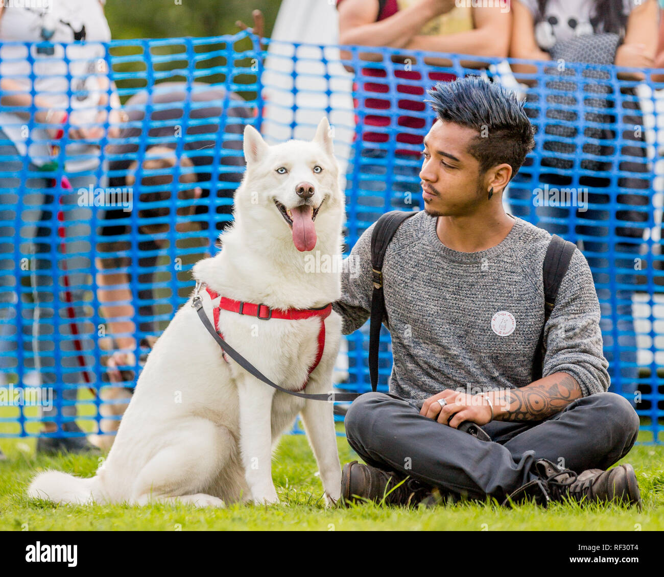 Ein junger Mann mit seinem schönen Hund im Park auf einer Hundeausstellung Stockfoto