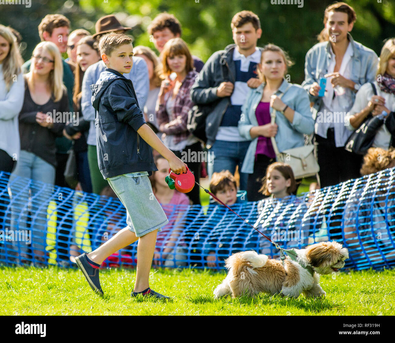 Ein Junge seinen Hund im Park auf einer Hundeausstellung Stockfoto