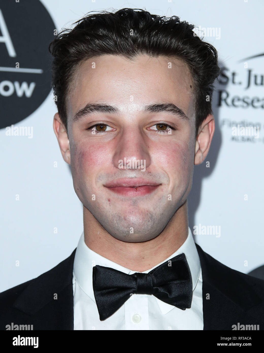 Los Angeles, Kalifornien, USA. 23. Januar, 2019. Schauspieler Cameron Dallas kommt an der Los Angeles Art Show 2019 Opening Night Gala im Los Angeles Convention Center am 23. Januar 2019 in Los Angeles, Kalifornien, Vereinigte Staaten. (Foto von Xavier Collin/Image Press Agency) Quelle: Bild Presse Agentur/Alamy leben Nachrichten Stockfoto