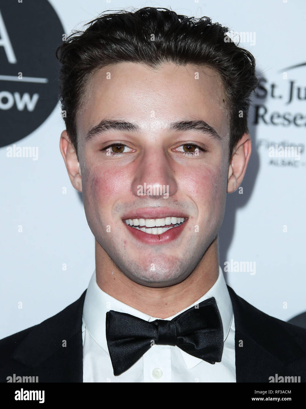 Los Angeles, Kalifornien, USA. 23. Januar, 2019. Schauspieler Cameron Dallas kommt an der Los Angeles Art Show 2019 Opening Night Gala im Los Angeles Convention Center am 23. Januar 2019 in Los Angeles, Kalifornien, Vereinigte Staaten. (Foto von Xavier Collin/Image Press Agency) Quelle: Bild Presse Agentur/Alamy leben Nachrichten Stockfoto