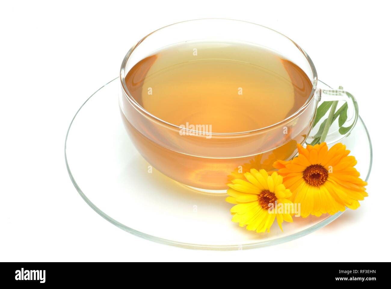 Pot marigold oder Englisch Ringelblume (Calendula officinalis), Kräutertee, Arzneimittel, Kaffee Stockfoto