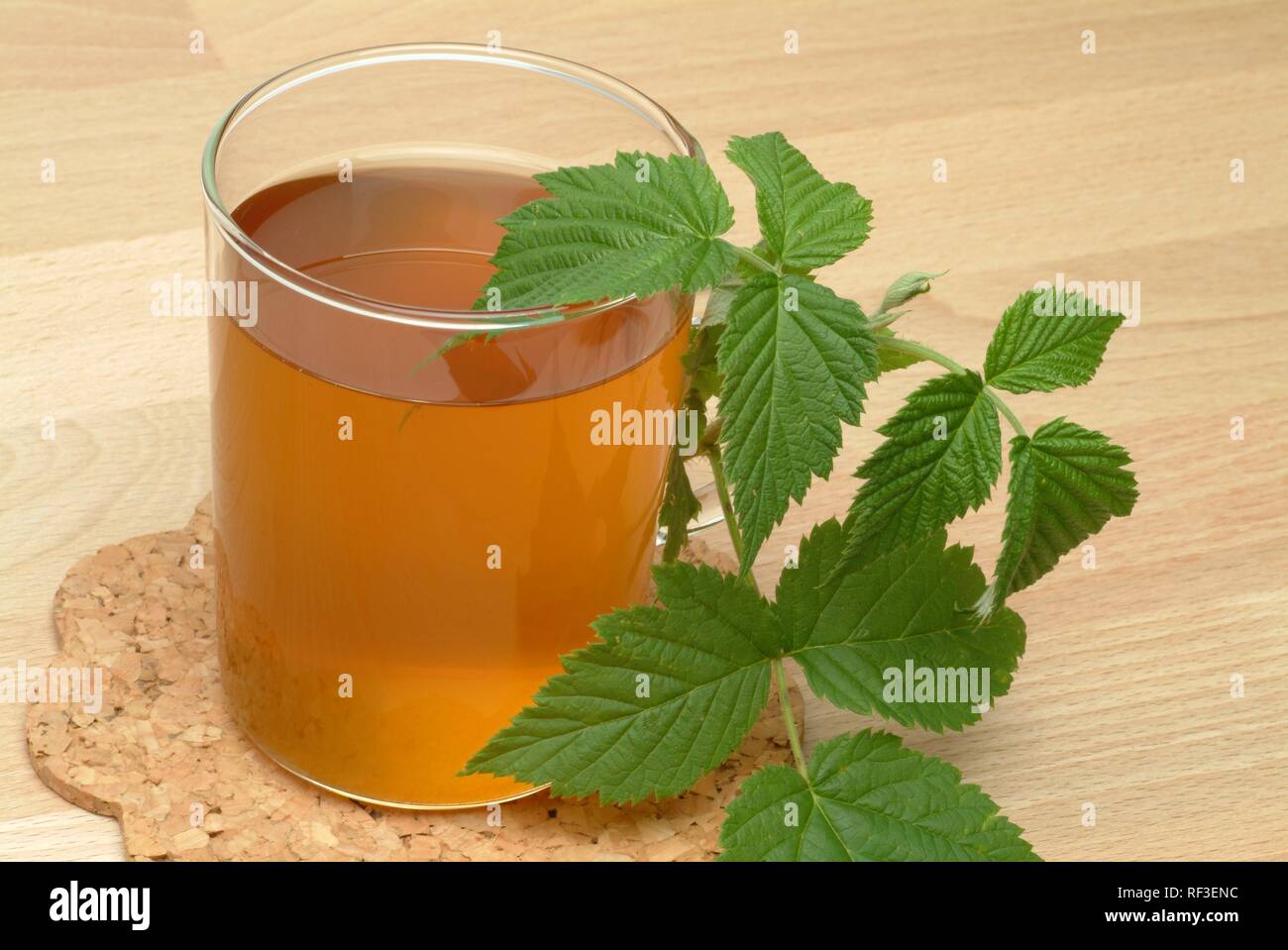 Himbeere (Rubus spp) Tee, Arzneimittel, Kaffee Stockfoto