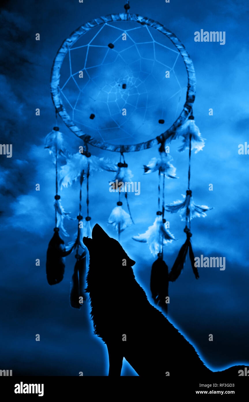 Einsamer Wolf in Silhouette mit dreamcatcher im Hintergrund heulen Stockfoto