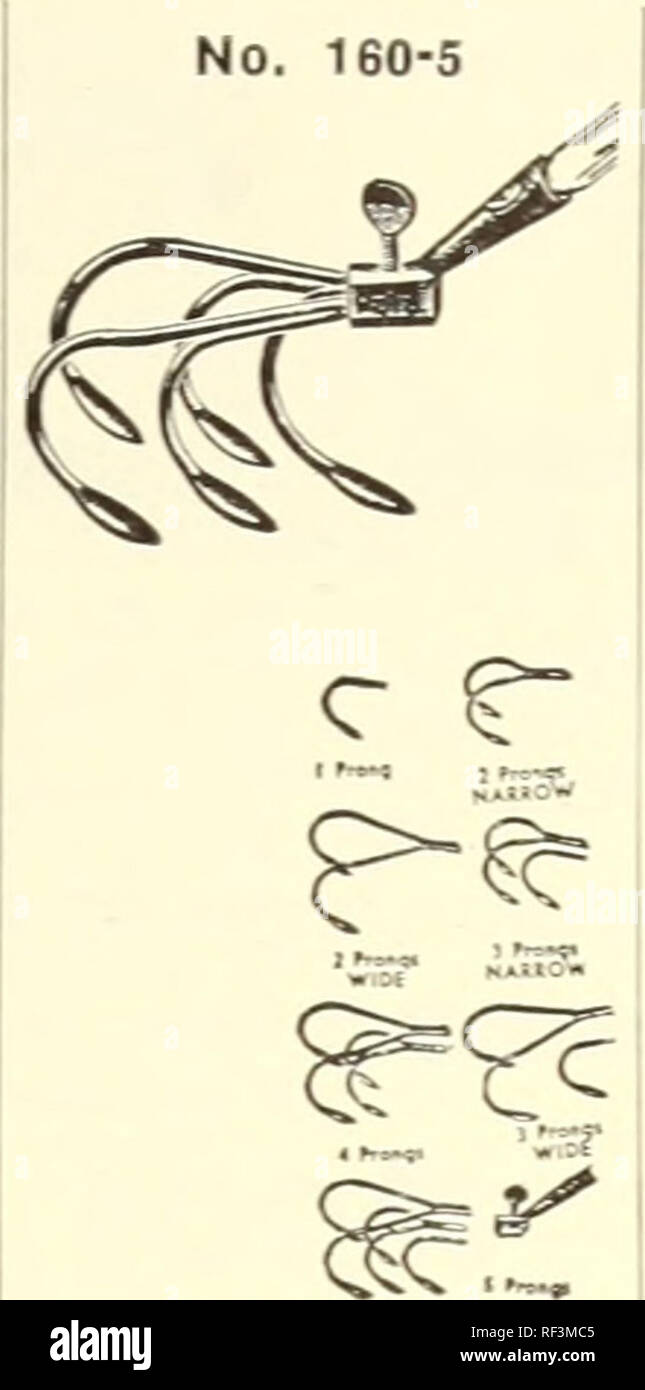 . Katalog 1946: Magnolia Samen sind gut Samen.. Samen Kataloge Kataloge; Gemüse; Blumen; Pflanzen Kataloge Kataloge; Gartengeräte und Zubehör Kataloge. Nr. 1523 Gardex Kombination Cultivator-Weeder. Das jäten Klinge auf diese Kombination Werkzeug schneidet Unkraut schnell und einfach. Drehen Sie das Werkzeug über und Sie haben einen dreipoligen Grubber. Nr. 1523, 3 Stifte, 4 1/3" breit, jäten Blade 4" breit, 4' Griff, Wt. 2 lbs. Je $ 1.25. Bitte beachten Sie, dass diese Bilder aus gescannten Seite Bilder, die digital für die Lesbarkeit verbessert haben mögen - Färbung und das Aussehen von extrahiert werden Stockfoto