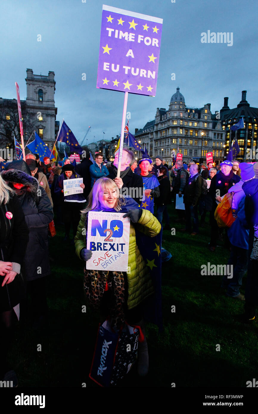 England, London, Westminster, Parliament Square, Brexit Demonstrationen. Stockfoto