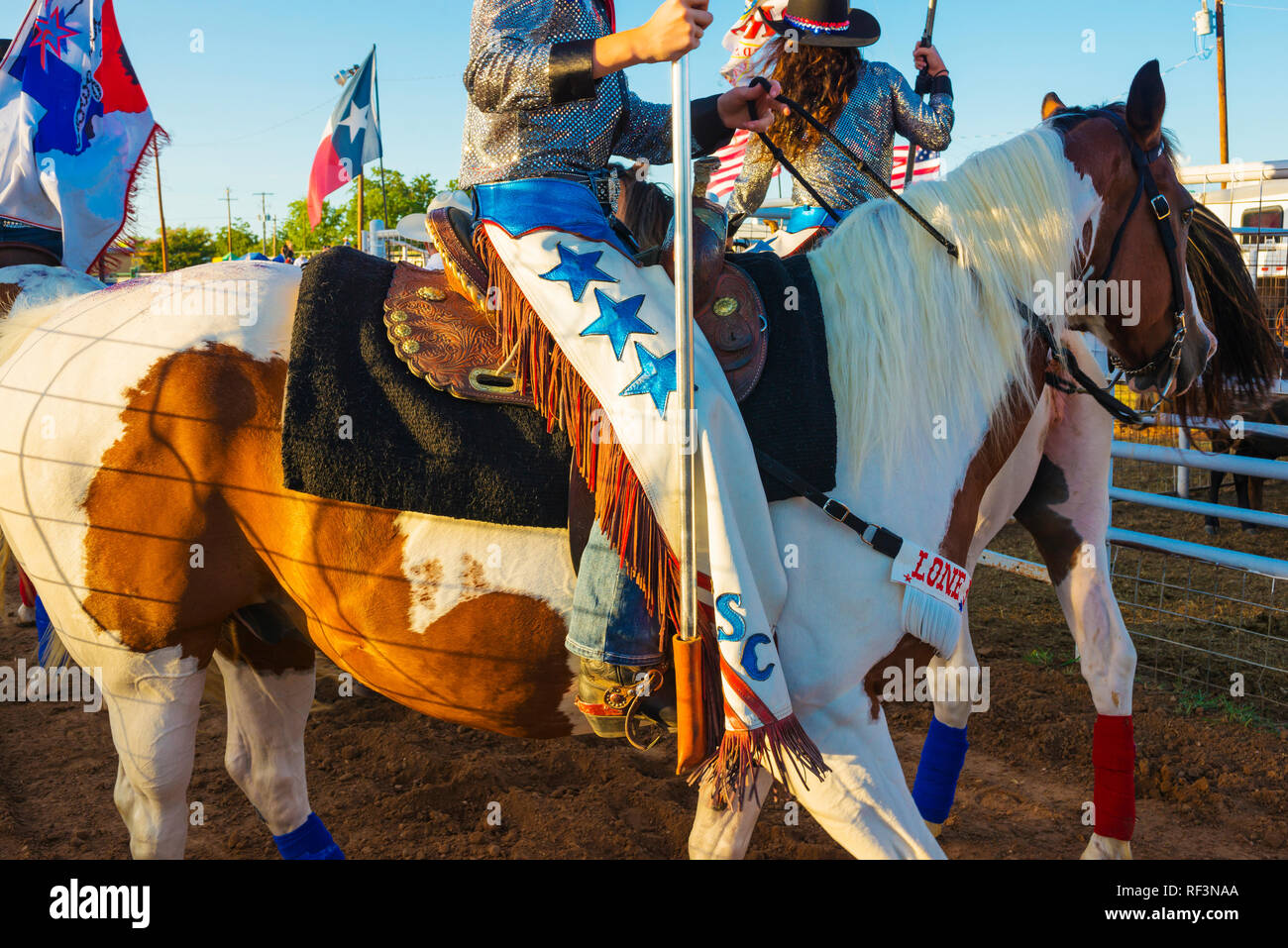 Lone Star Cowgirls in Texas Rodeo event Stockfoto
