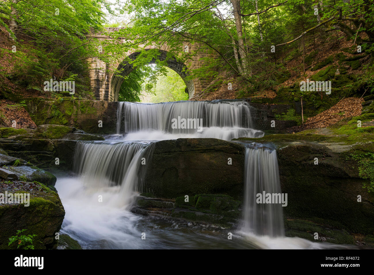 Wasserfall unter der steinernen Brücke in Rhodope Berg in der Nähe von Sitovo Dorf, Bulgarien, Europa, Frühling Fotografie Stockfoto