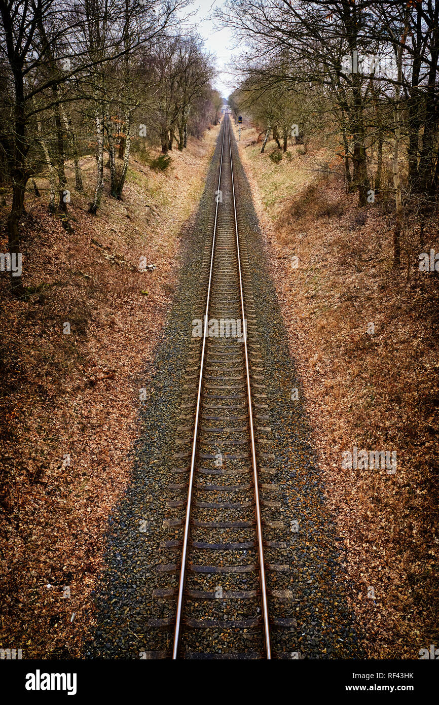Bahnstrecken in den Wald. Stockfoto