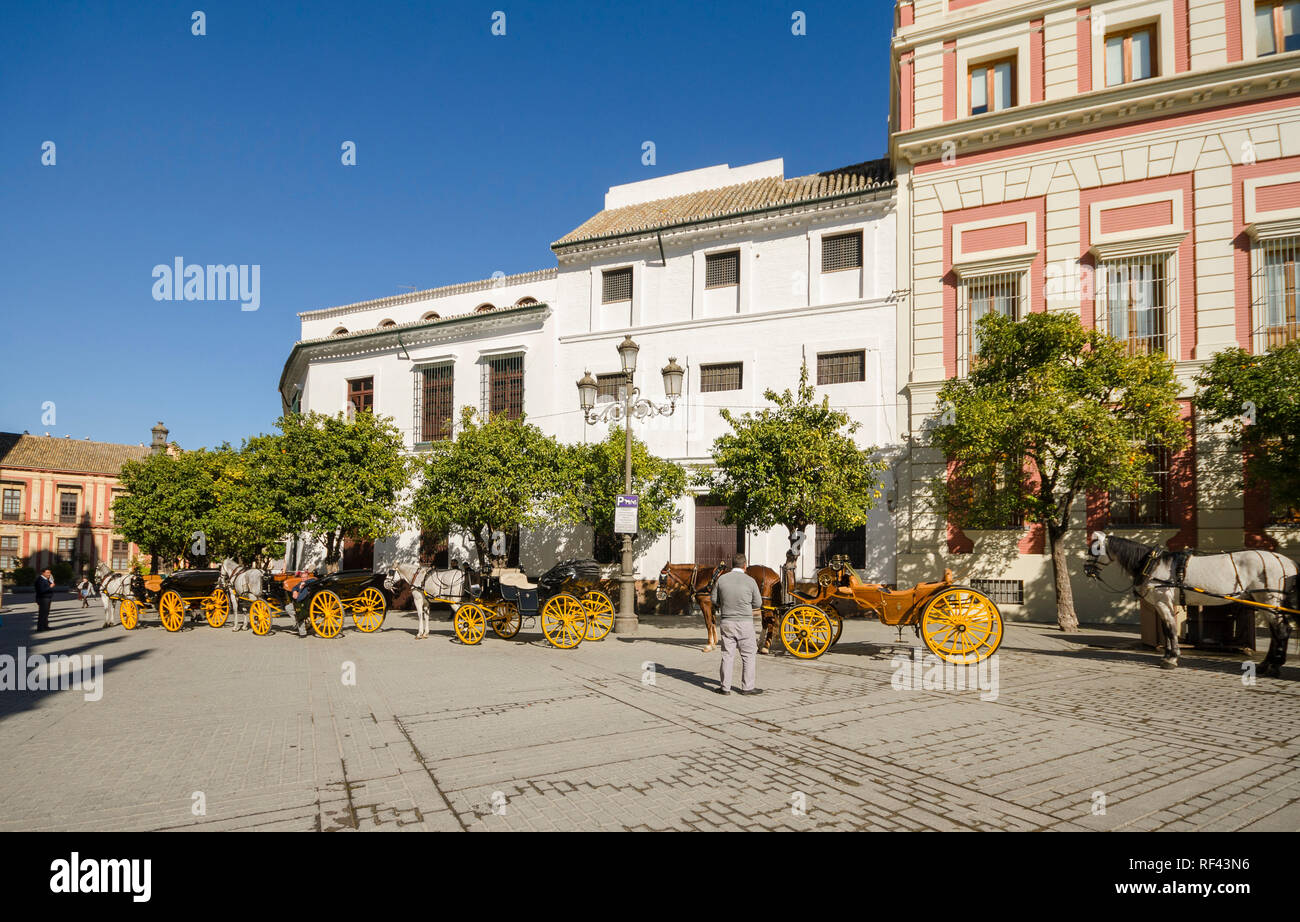 Sevilla, Pferdekutschen aufgereiht an der Plaza del Triunfo, Sevilla, Sevilla, Andalusien, Südspanien. Stockfoto