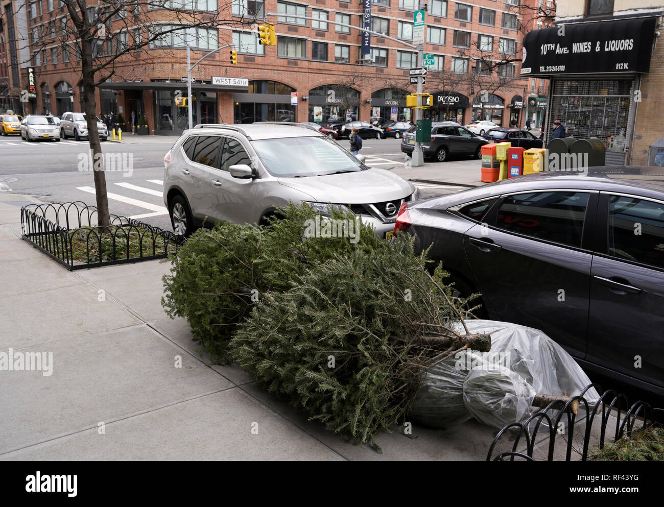 Curbside Weihnachtsbaum Entsorgung, NYC Stockfoto