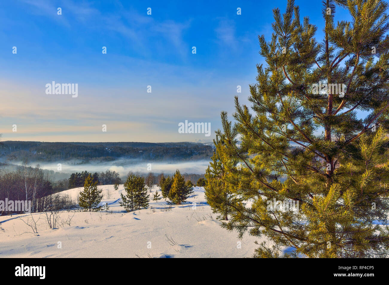 Winter Straße durch den Wald. Rosa Sonnenuntergang bzw. Sonnenaufgang, Berge im Hintergrund mit Schicht von Nebel bedeckt. Green Pine Tree im Vordergrund Stockfoto