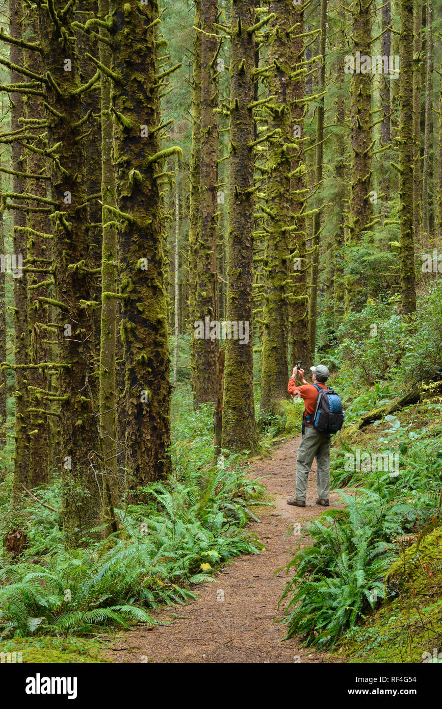 Wanderer, die Foto mit Handy auf Siltcoos Lake Trail, siuslaw National Forest, Oregon. Stockfoto