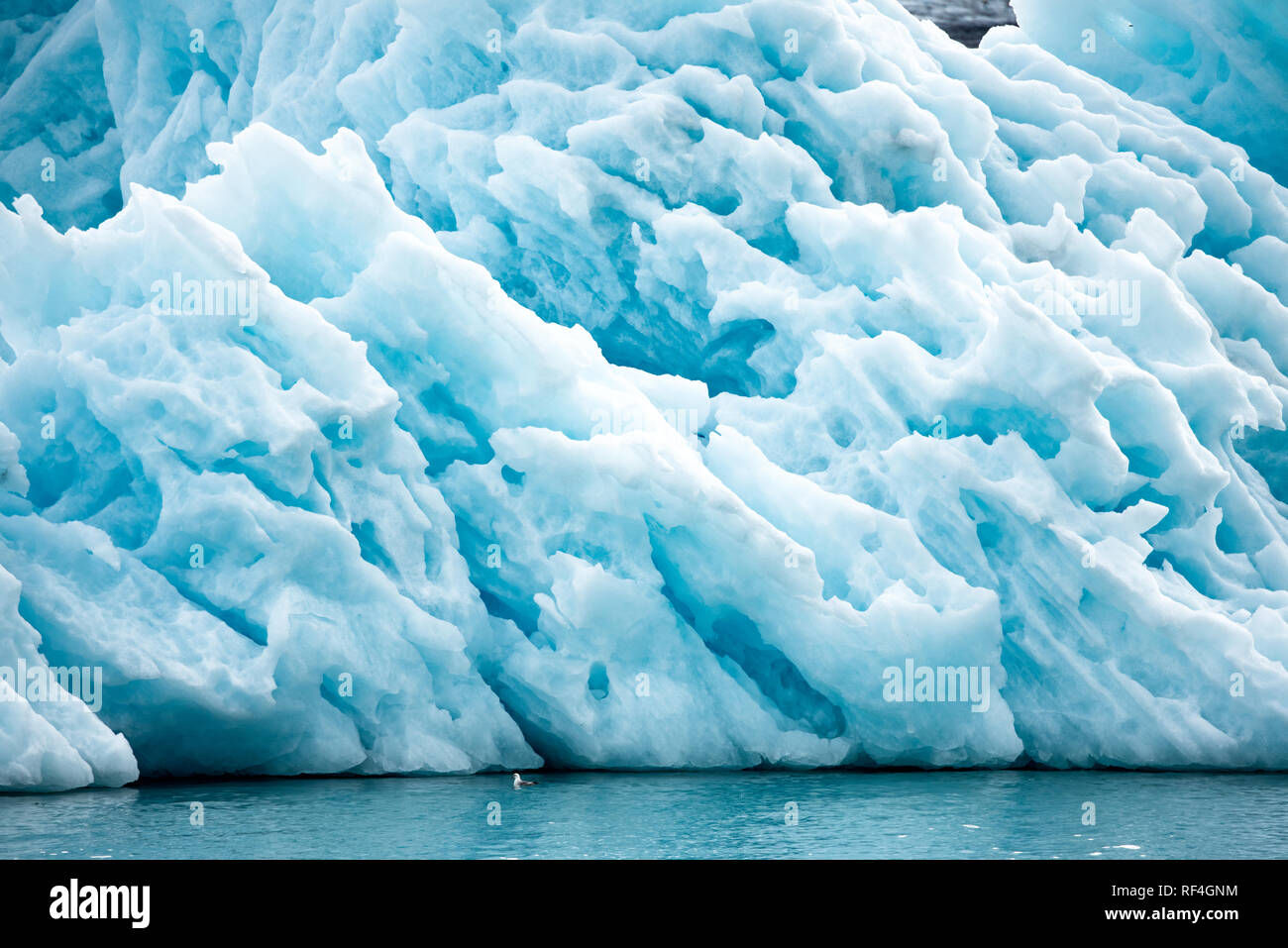 LONGYEARBYEN, Svalbard - die Eisberge und Gletscher in der Nähe von Longyearbyen, im arktischen Archipel von Svalbard. Diese atemberaubenden eisigen Strukturen verkörpern nicht nur die schroffe Schönheit der arktischen Wildnis, sondern dienen auch als entscheidende Indikatoren für den Klimawandel, ihre Veränderungen und Schmelzen, die wichtige Einblicke in die Trends der globalen Erwärmung offenbaren. Stockfoto