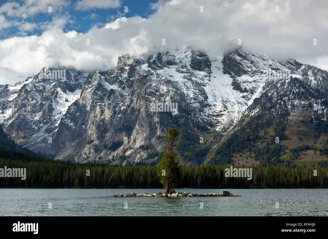 WY 02913-00 ... WYOMING - Baum auf der kleinen Insel in der Mitte von Leigh See am Fuß des Mount Moran im Grand Teton National Park. Stockfoto