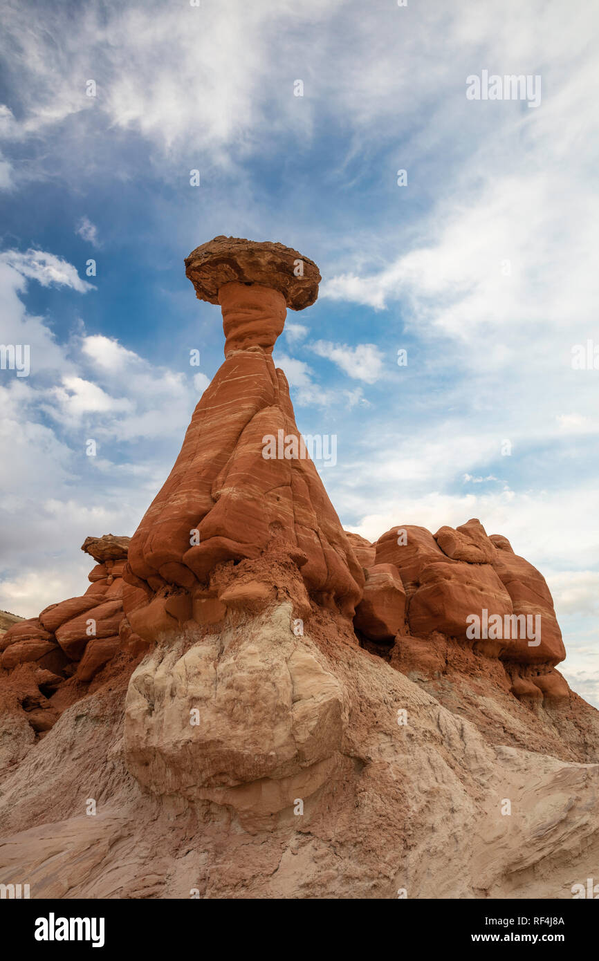 Fliegenpilze, Grand Staicase-Escalante National Monument, Utah Stockfoto