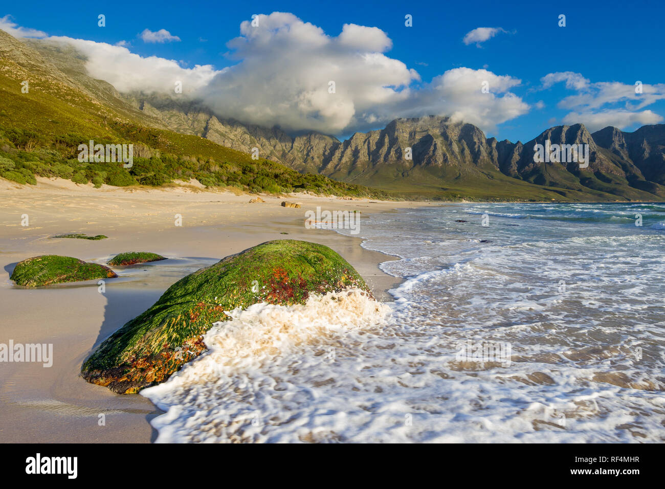 Kogel Bay liegt im Indischen Ozean zwischen Gordon's Bay und Rooi Els und verfügt über Kilometer von Unbebauten Sandstrand inmitten von Bergen und Fynbos Stockfoto