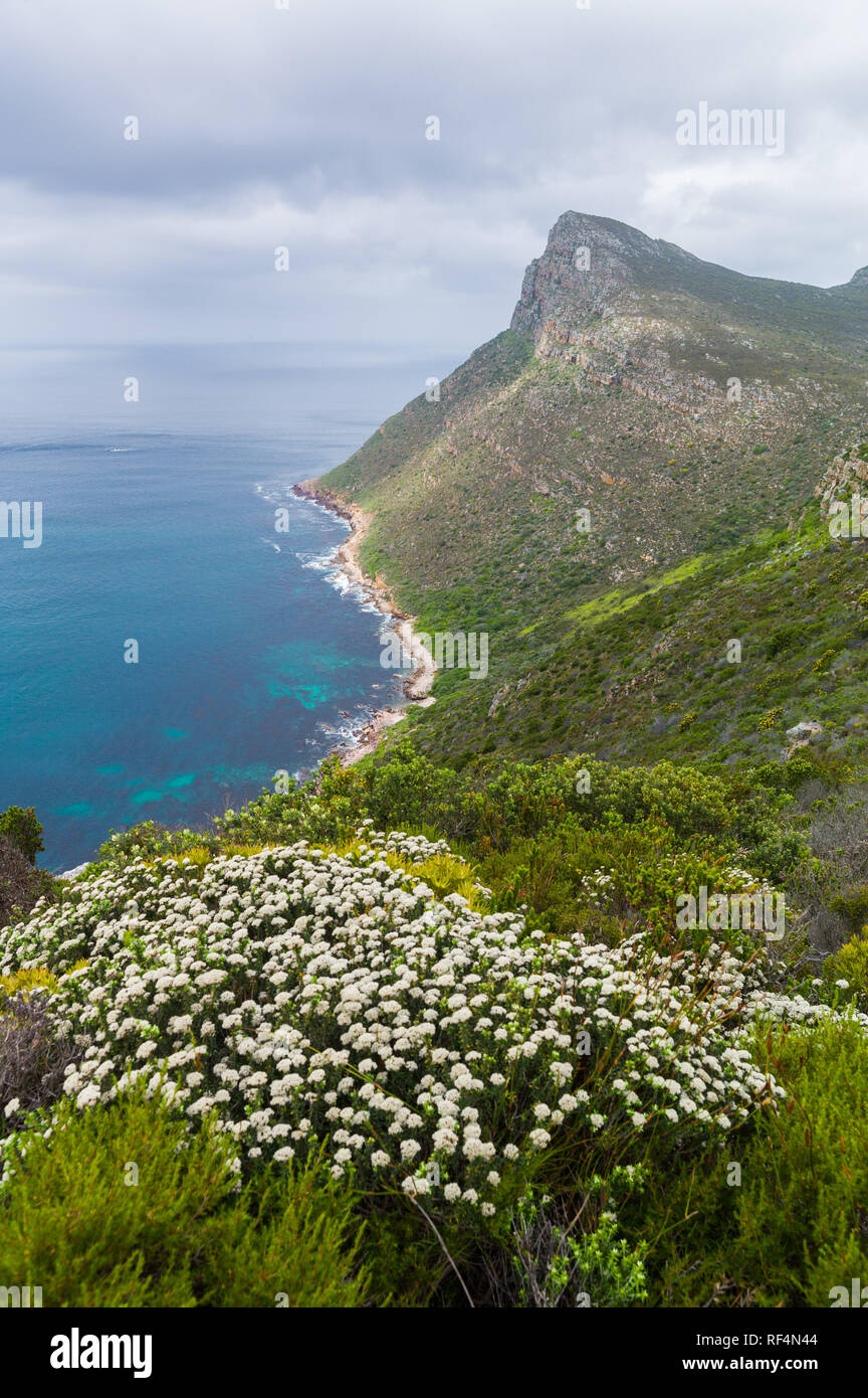 Das Kap der Guten Hoffnung, Tafelberg Nationalpark, Kapstadt, Südafrika ist als Treffpunkt der zwei Ozeane: Indischen und Atlantischen erkannt Stockfoto