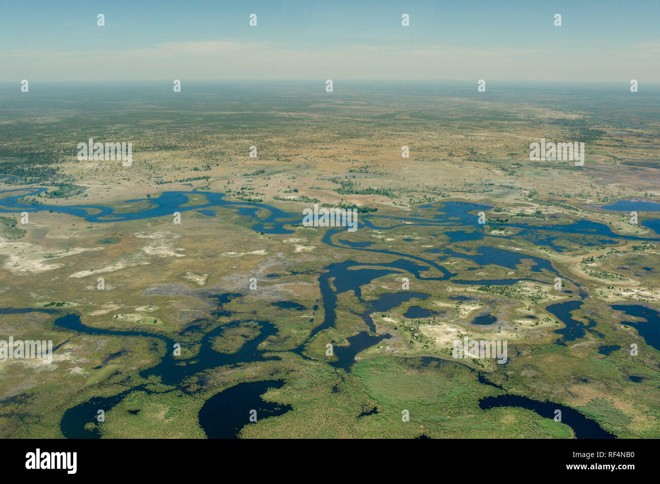 Das Okavango Delta in Botswana ist eine berühmte und dynamische ecostem, wo die Wasserstände in den Sümpfen drastisch über den Verlauf der Jahreszeiten ändern Stockfoto