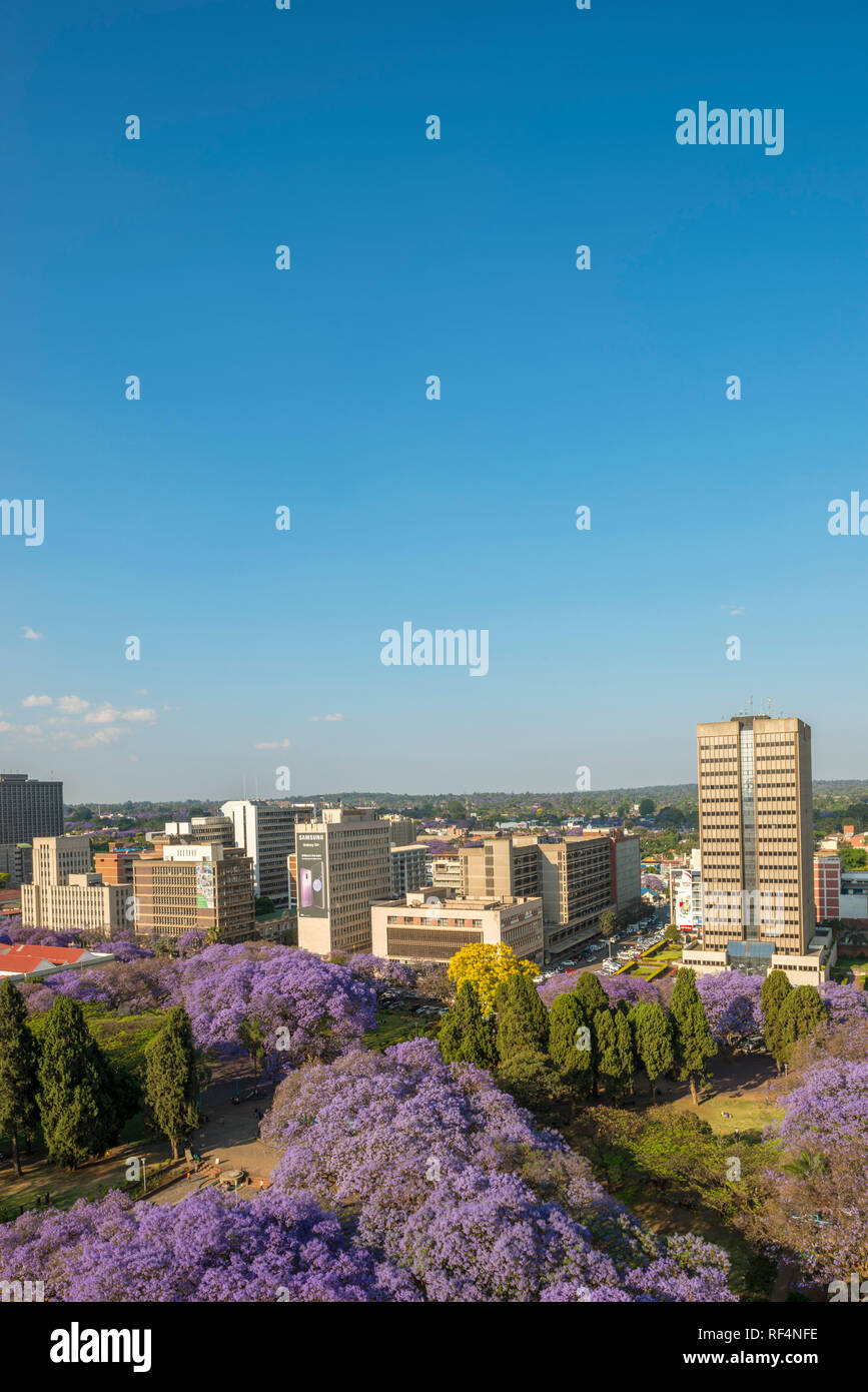 Ein Blick auf die CBD in Harare Jacaranda Saison. Stockfoto