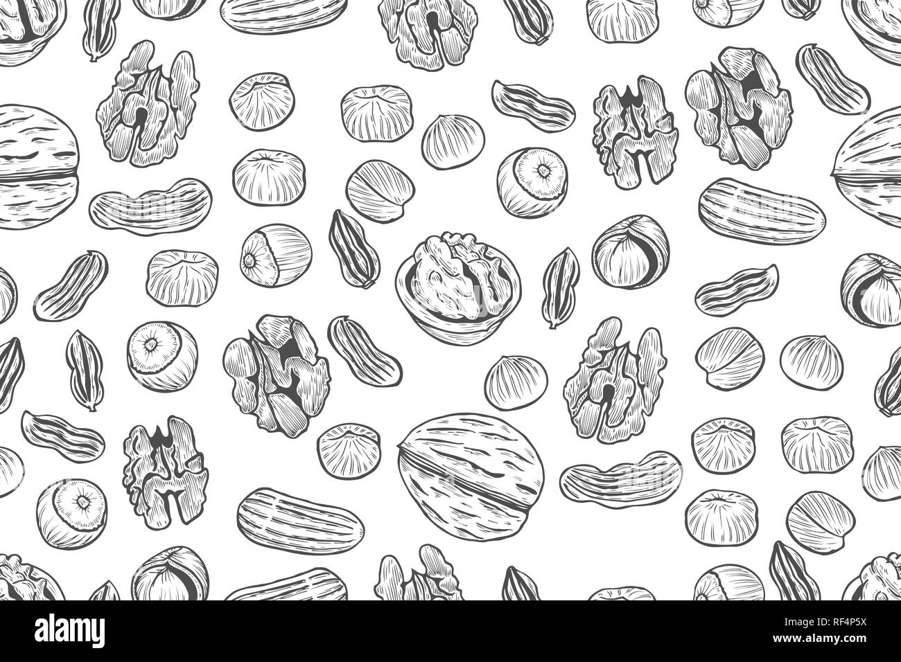 Muttern nahtlose Vektor Muster. Outline Hand gezeichnet Abbildung. Schwarz und Weiß essen Hintergrund. Stock Vektor
