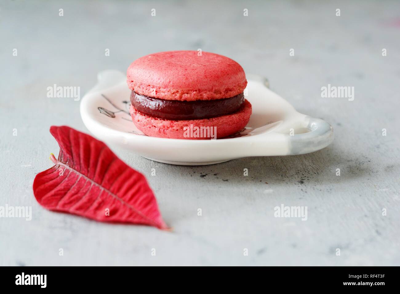 Französische bunte Macarons farbenfrohen Pastelltönen Macarons. Kleine Kuchen. Valentinstag Konzept. Romantische morgen, Geschenk für die Lieben. Frühstück auf Valen Stockfoto