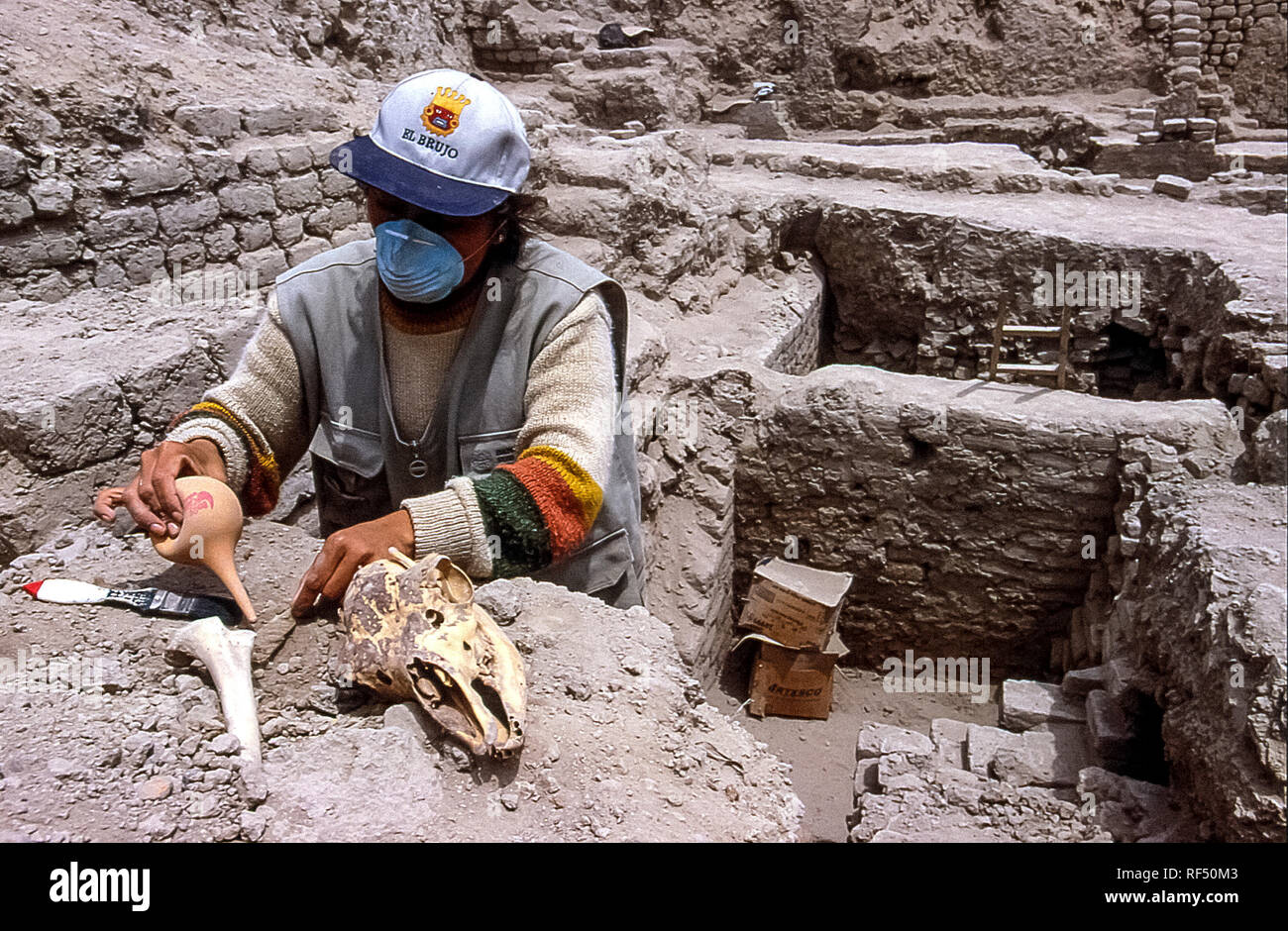 PerÃ¹ Huaca de la Luna ein Teammitglied El Brujo reinigt ein Schädel blade Stockfoto