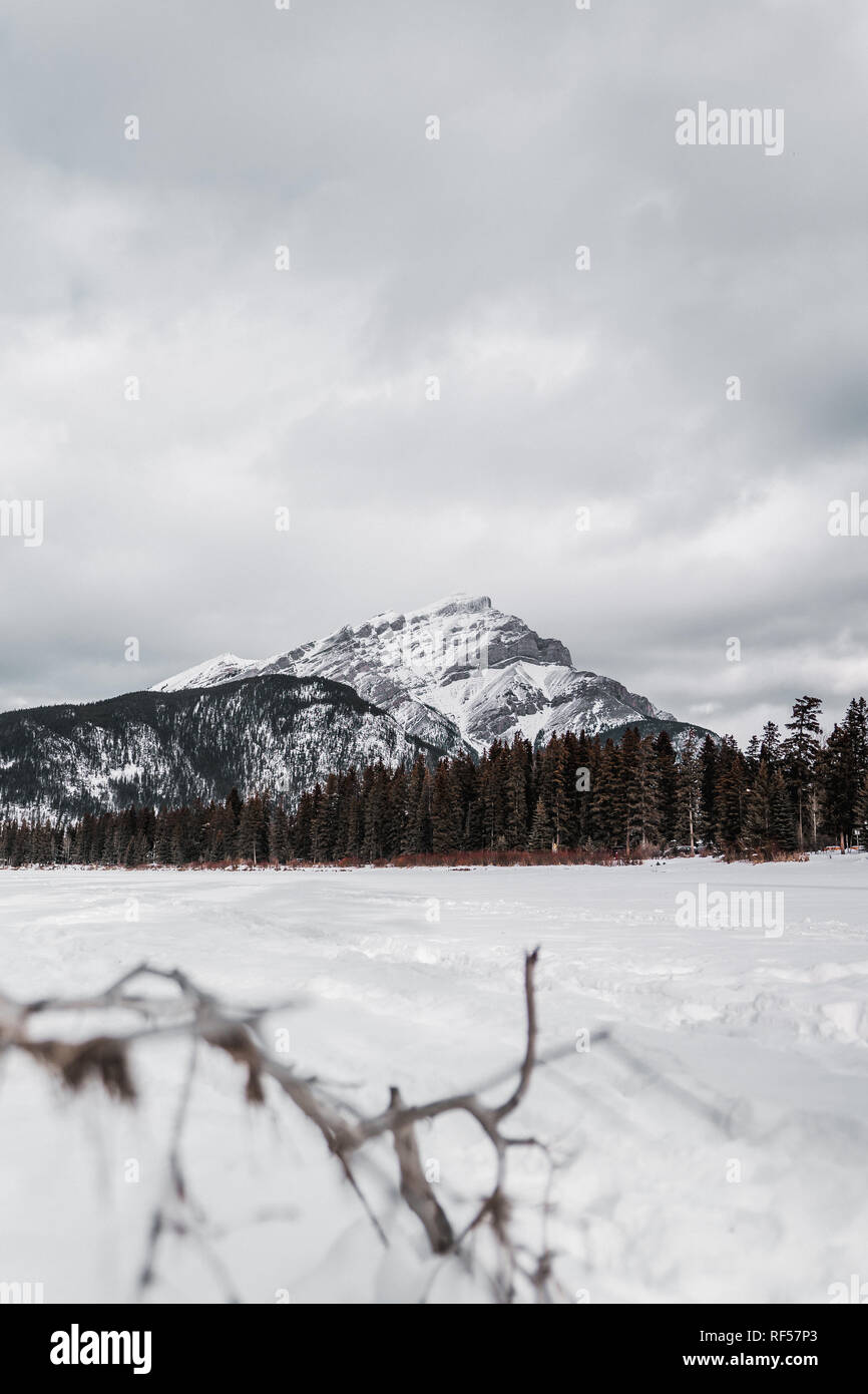 BANFF, Alberta, Kanada - Januar 2019: Scenic street view der Banff Avenue an einem sonnigen Sommertag. Banff ist ein Ferienort und beliebten touristischen Bestimmungen Stockfoto