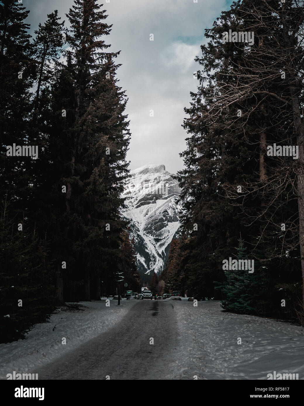 BANFF, Alberta, Kanada - Januar 2019: Scenic street view der Banff Avenue an einem sonnigen Sommertag. Banff ist ein Ferienort und beliebten touristischen Bestimmungen Stockfoto